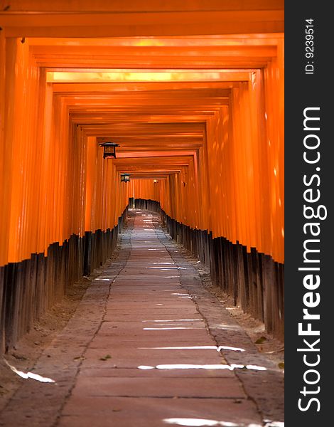Torii gates at the Fushimi Inari Shrine at Kyoto, Japan