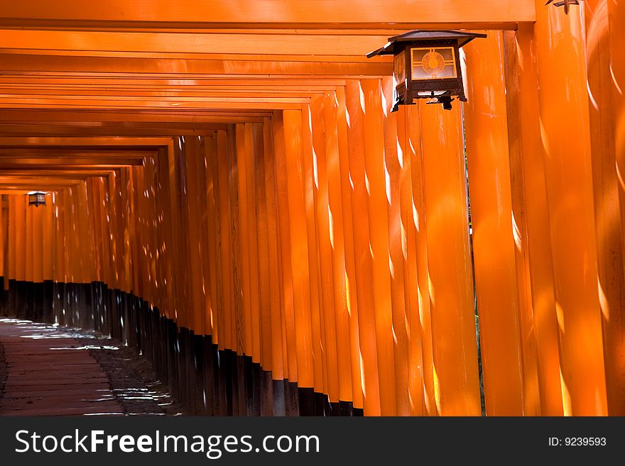 Torii gates at the Fushimi Inari Shrine at Kyoto, Japan