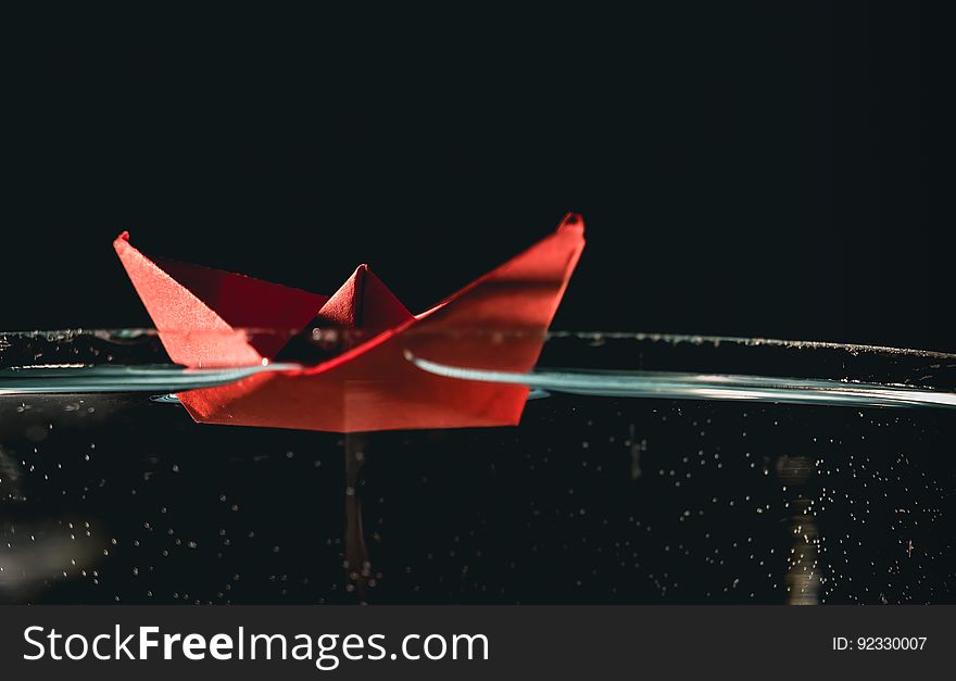Paper Boat On Water