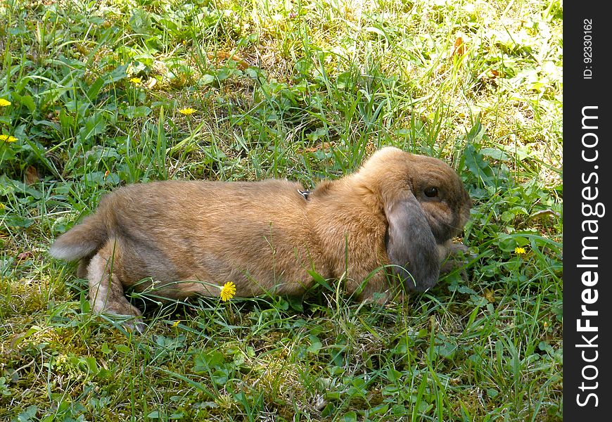 In my grandma&#x27;s garden, before heading back to Barcelona. In my grandma&#x27;s garden, before heading back to Barcelona.