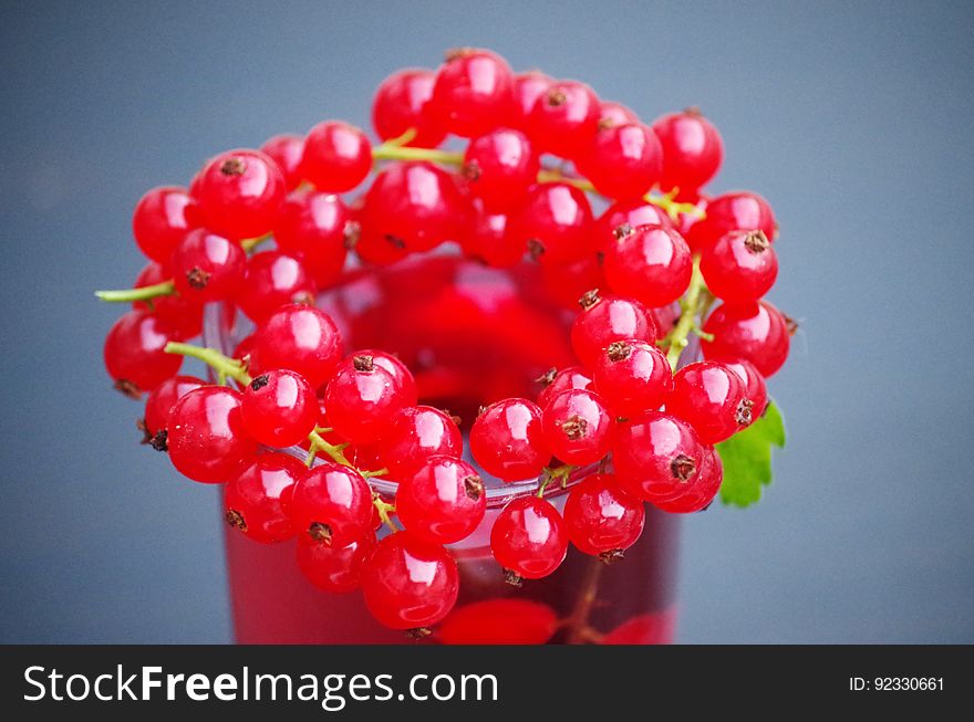 Bunches of ripe redcurrant berries on reflective background.