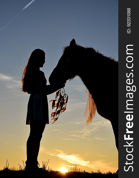 The silhouette of a woman with a horse against the blue skies at sunset. The silhouette of a woman with a horse against the blue skies at sunset.