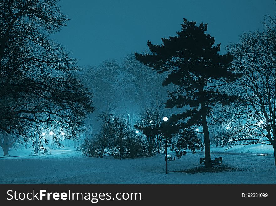 A city park at winter with blue light.