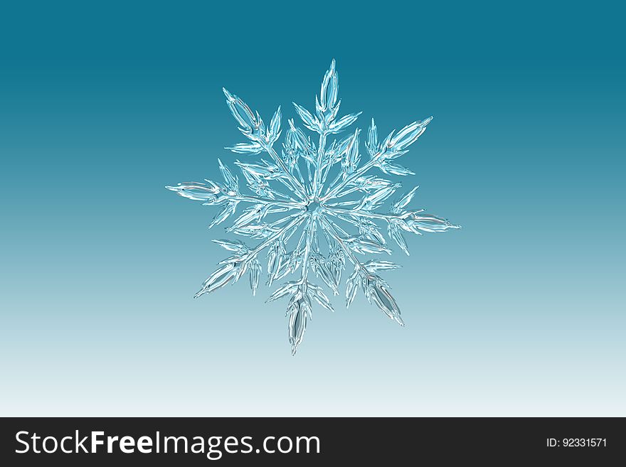 Snowflake, Symmetry, Line, Organism