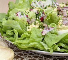 Fresh Salad With Eggs Royalty Free Stock Photos