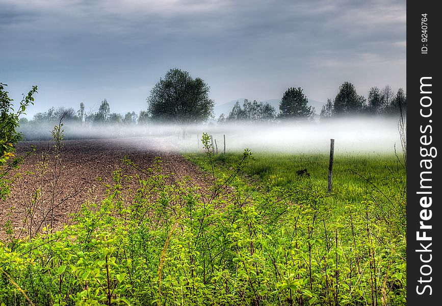 Morning landscape on the field with mist, somewhere on the continent. Morning landscape on the field with mist, somewhere on the continent.