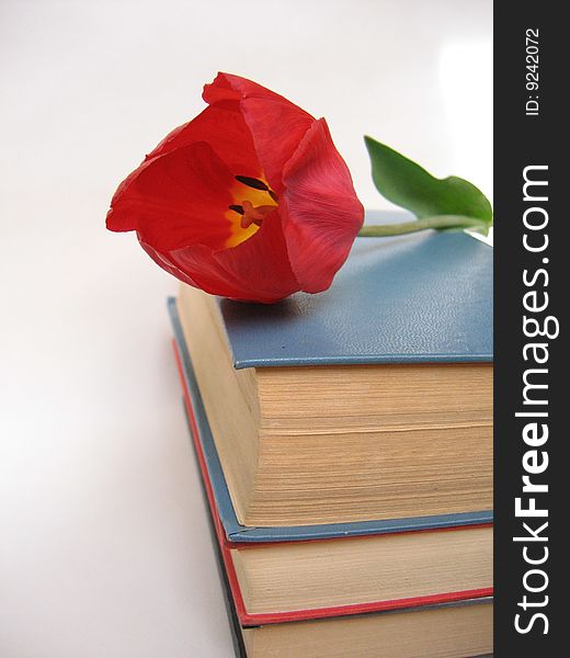 Books with red bright flower