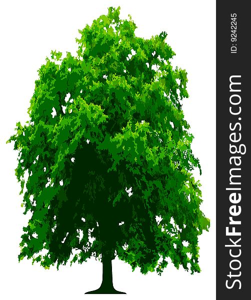 Tree - This image is a vector illustration and can be scaled to any size without loss of resolution