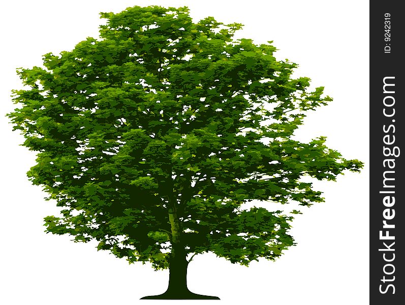 Tree - This image is a vector illustration and can be scaled to any size without loss of resolution