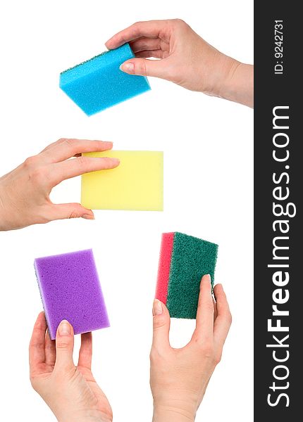 Set of four female hands with kitchen sponges of different colors isolated on white background. Set of four female hands with kitchen sponges of different colors isolated on white background