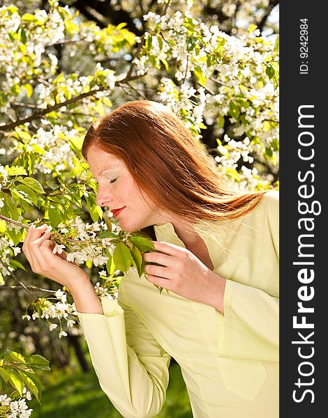 Young woman under blossom tree in spring smelling. Young woman under blossom tree in spring smelling