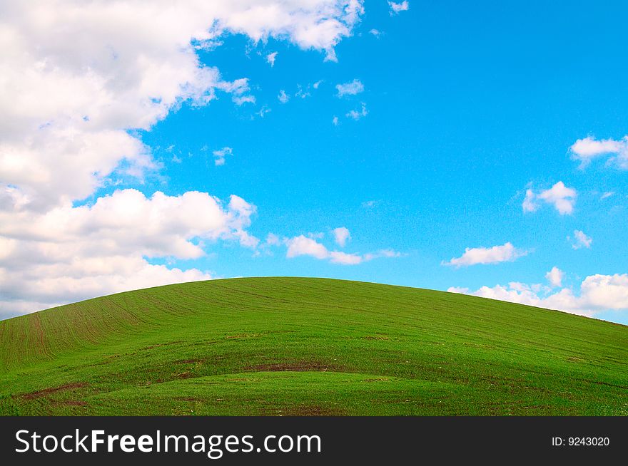 Green Field, The Blue Sky And White Clouds