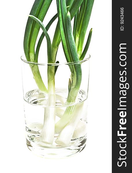 Bunch of onion. Green onion as background. Isolated on a white