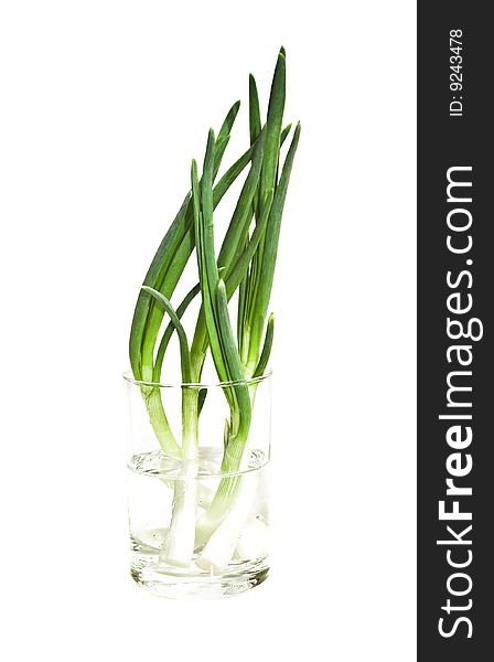 Green Onion As Background. Isolate