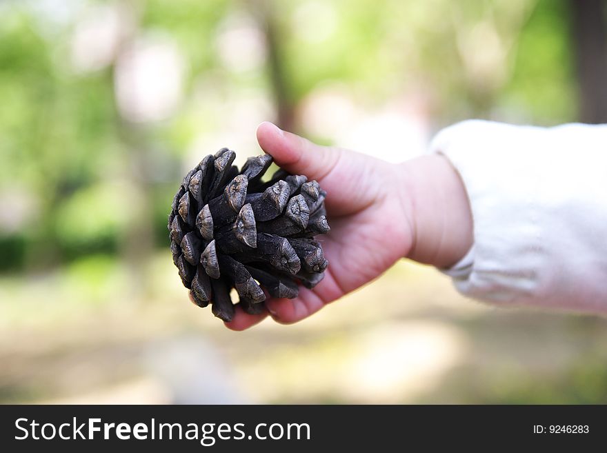 Child's hand and a pineal,this means shareã€‚