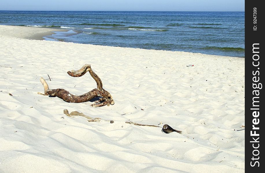 Baltic Sea sandy beach shore. Baltic Sea sandy beach shore