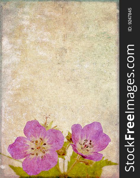 Background Image With Floral Elements