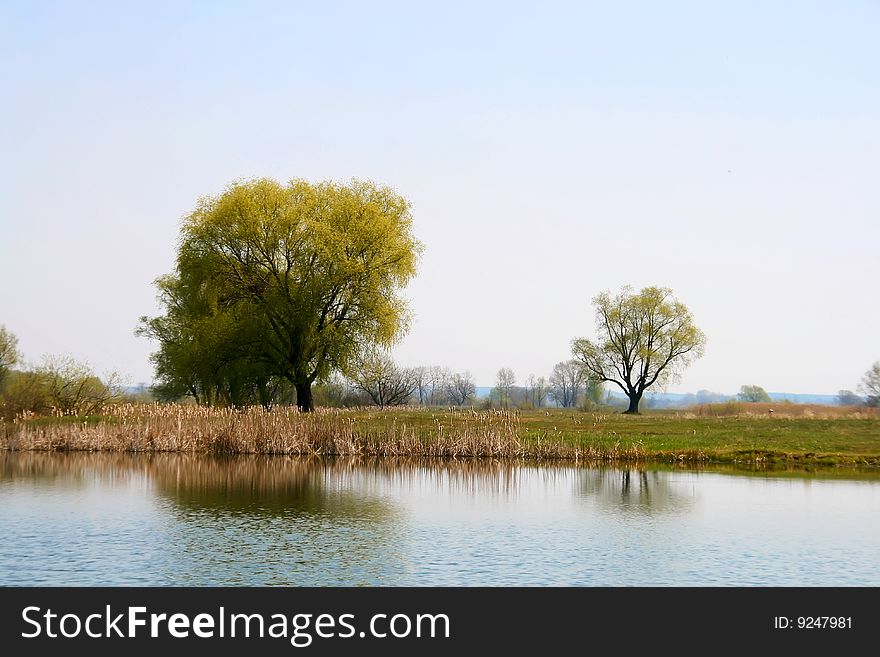 A lake with tree on its other bank with green grass and blue sky. A lake with tree on its other bank with green grass and blue sky