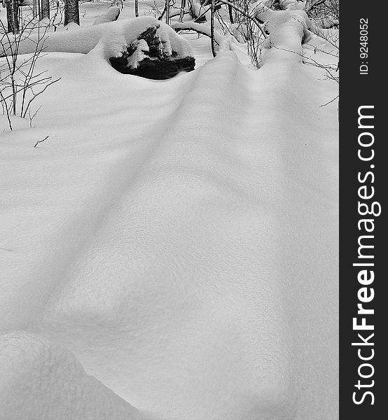 Tree logs on the forest bed completely covered in snow after a heavy snow storm.
Location: Devon Woods, Windsor, ON. Tree logs on the forest bed completely covered in snow after a heavy snow storm.
Location: Devon Woods, Windsor, ON