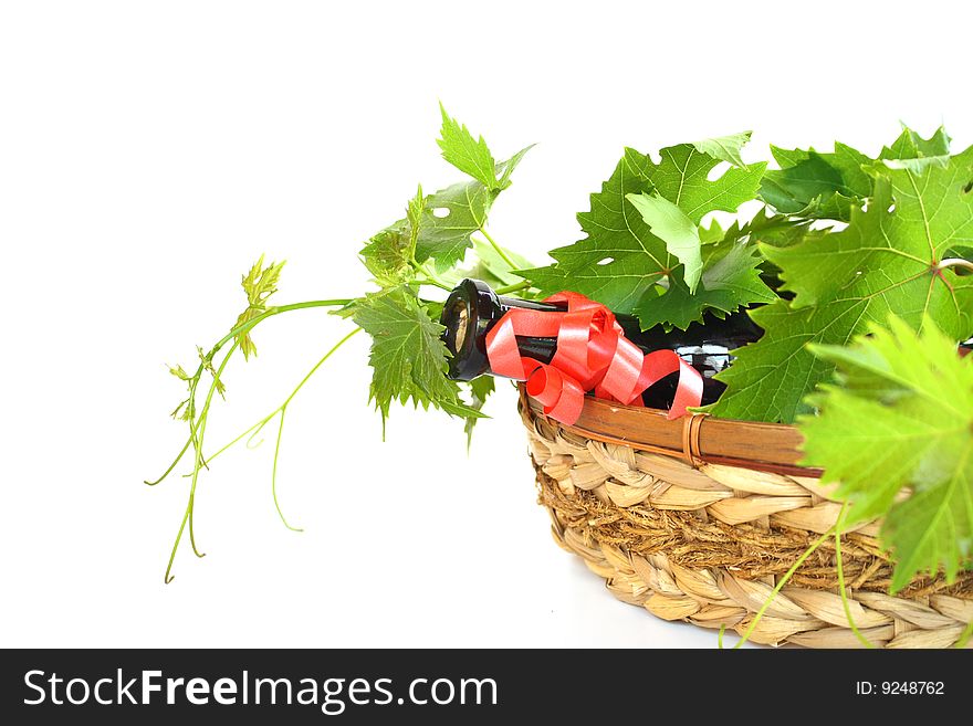 Wine bottle and young grape vine branch in early summer. shallow depth of focus