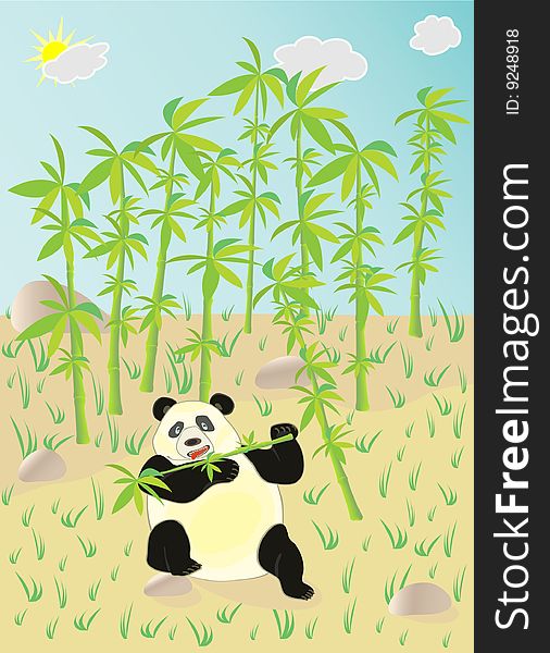 Illustrations bear panda, eat bamboo