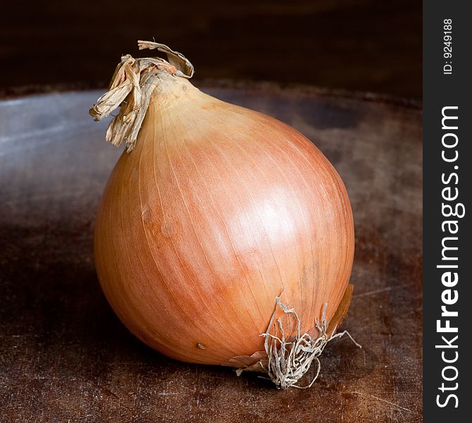 One big fresh onion on wooden background