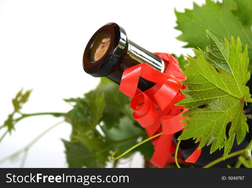 Wine bottle and young grape vine branch