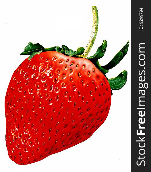 Illustration on the theme fruits. Illustration on the theme fruits