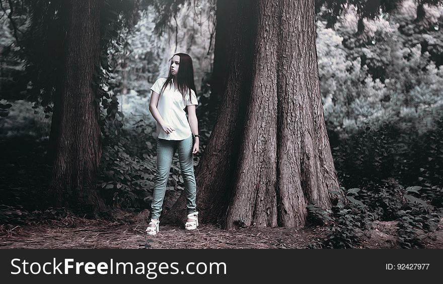 Woman in T Shirt Posing Beside Rough Bark Tall Tree in Grayscale Photography