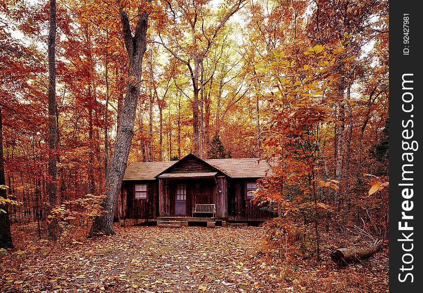 Cabin In Autumn Forest