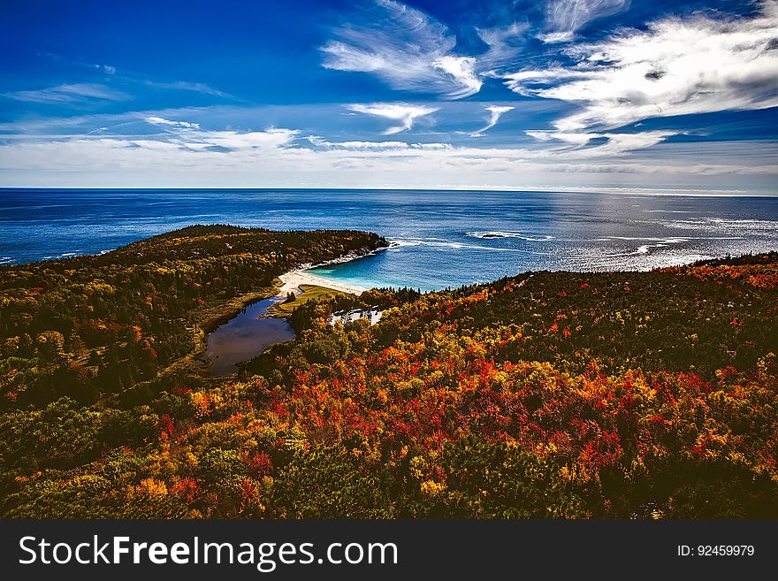A forest by the shore of the sea in autumn colors. A forest by the shore of the sea in autumn colors.