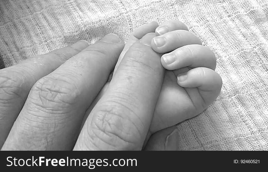 Close Up Photo Holding Hands Of Baby And Human