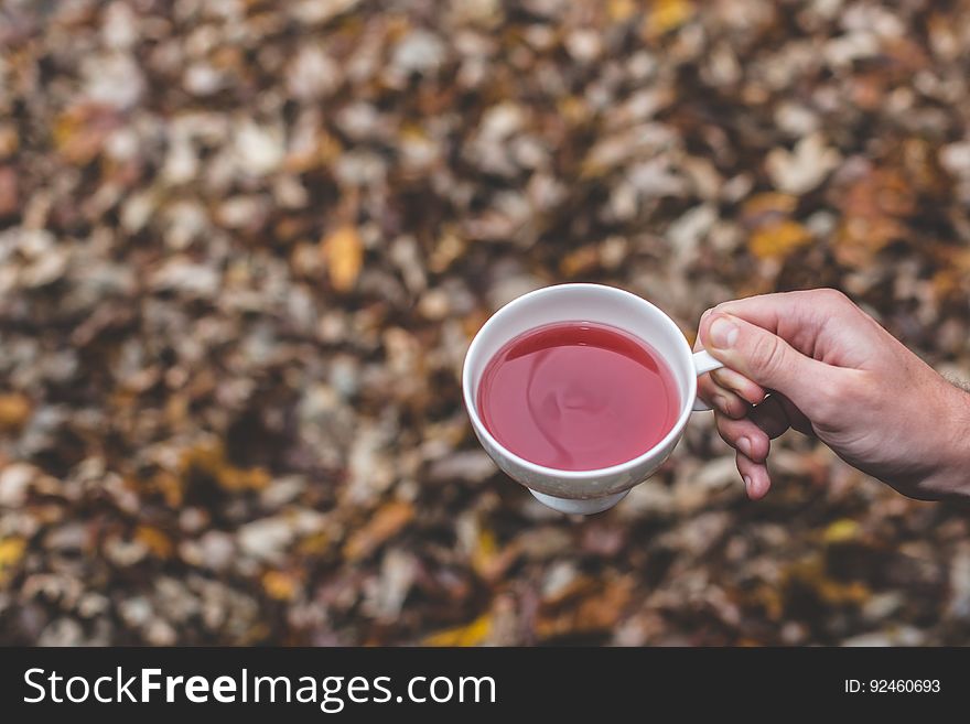 A person holding out a cup of tea with autumn leaves on the background.