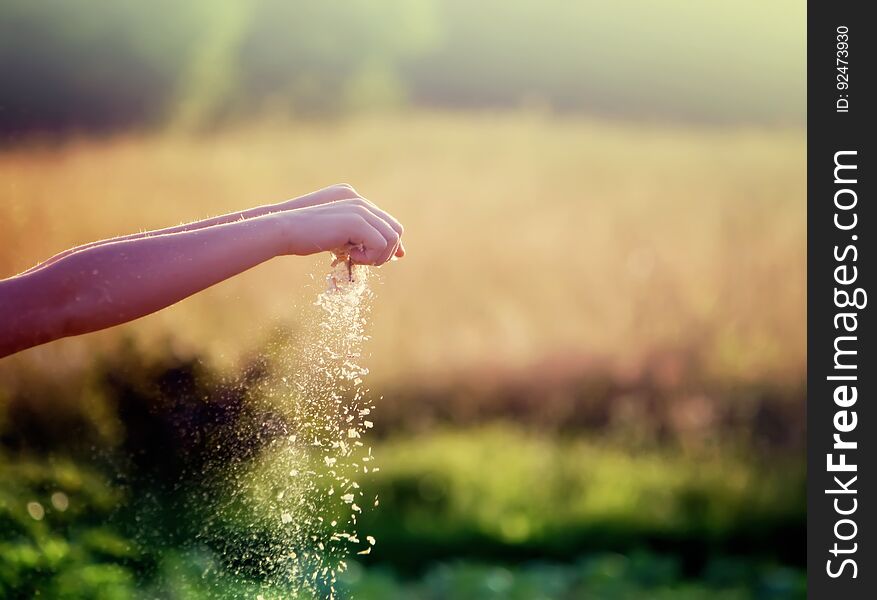 Child& X27;s Hands Pouring Sand On Summer Nature Background