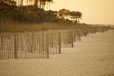 Erosion Fence On Deserted Beach Royalty Free Stock Photography Erosion Fence On Deserted Beach Royalty Free Stock Photography