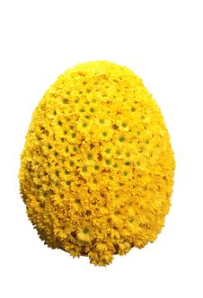 Bouquet Of Yellow Daisy Blossoms Royalty Free Stock Images Bouquet Of Yellow Daisy Blossoms Royalty Free Stock Images