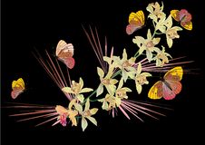 Butterflies And Yellow Ochids On Black Royalty Free Stock Image
