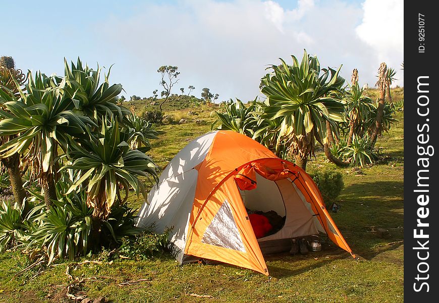 Tent in Simien National Park, Ethiopia