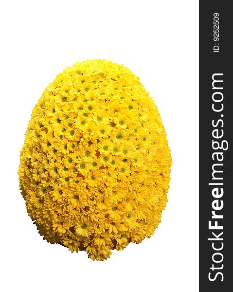 Easter egg shaped bouquet of yellow daisy blossoms isolated on white background (Asteraceae family)