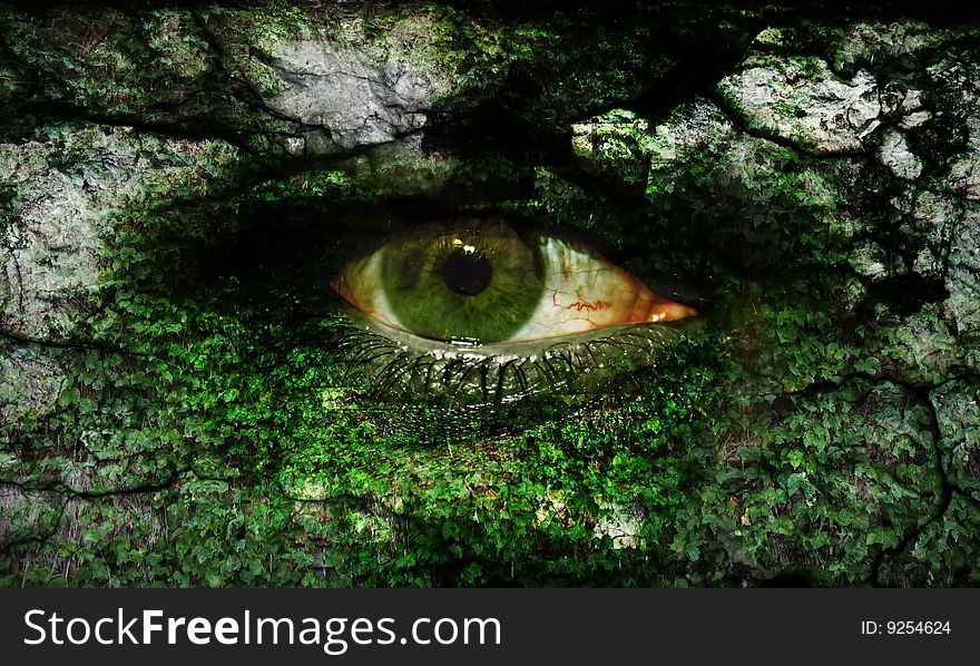 Art eye, textured with stone and leafs