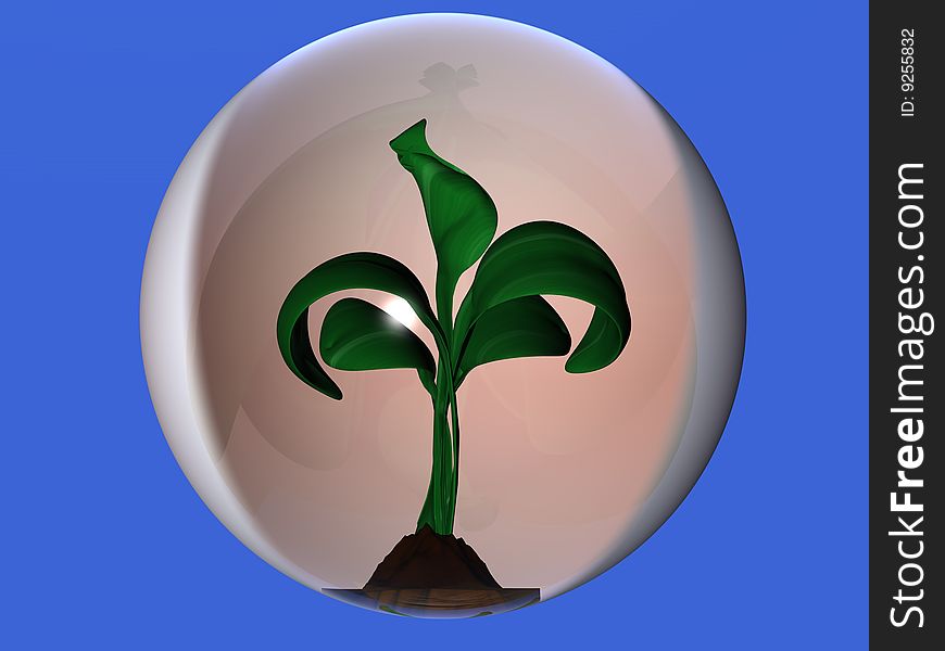 Young green plant into a glass sphere. Young green plant into a glass sphere