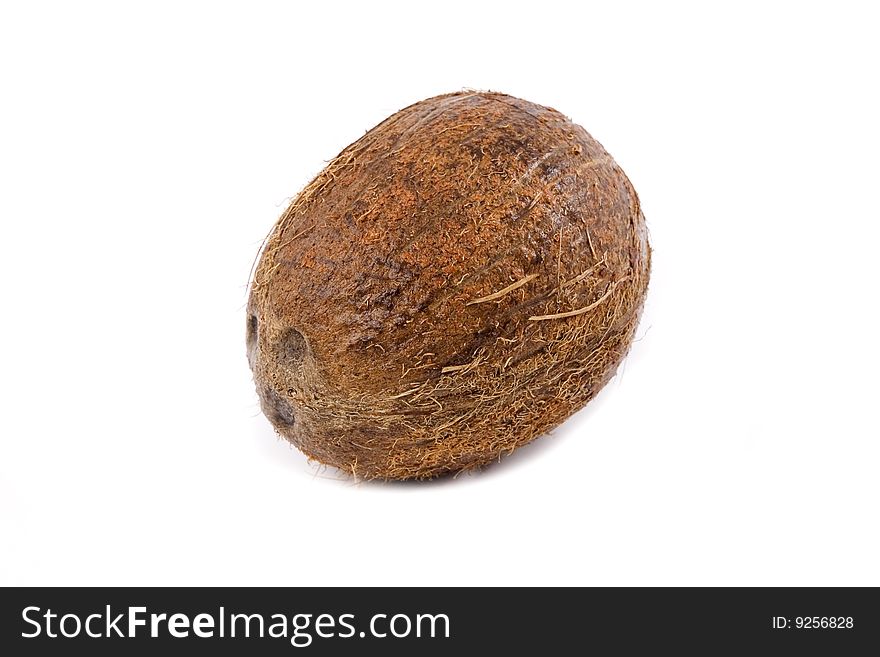 Brown coconut of the white background