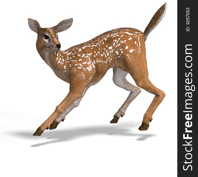 Young doe or fawn With Clipping Path and shadow