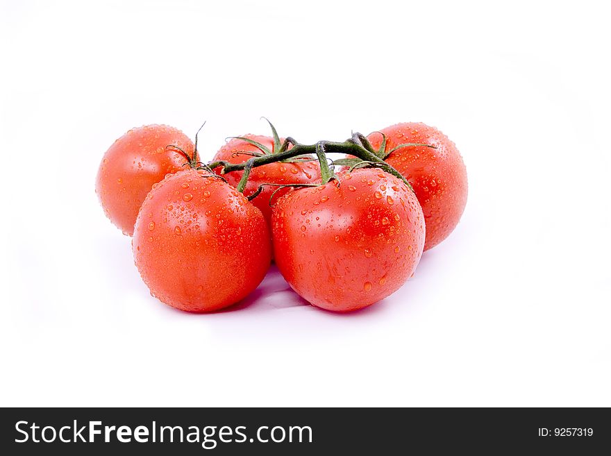 Red tomato on the white background