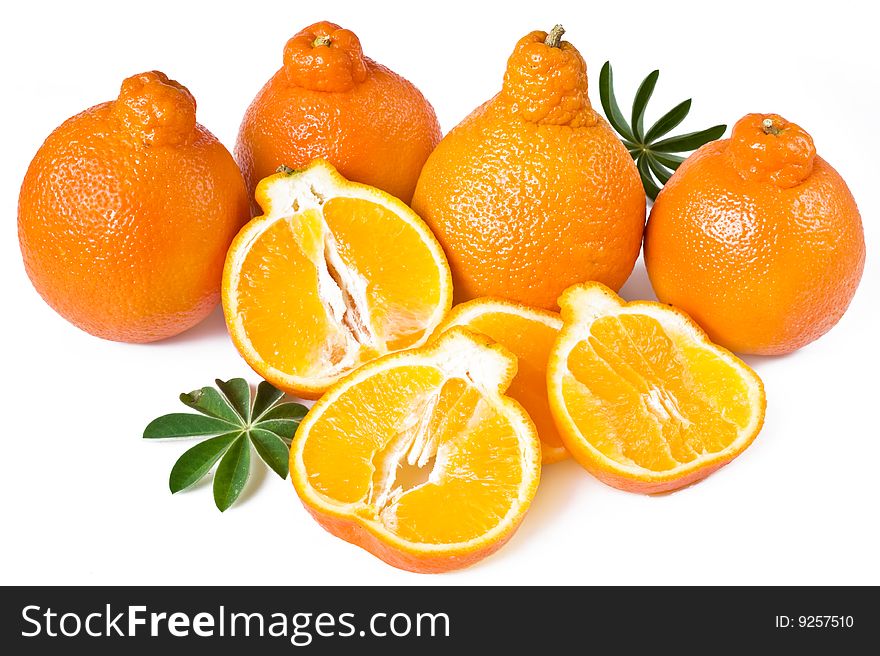Group Of Ripe  Isolated Orange