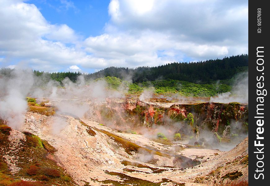 Geothermal Activity of Hell's Gate (between Rotorua and Taupo), New Zealand. Geothermal Activity of Hell's Gate (between Rotorua and Taupo), New Zealand