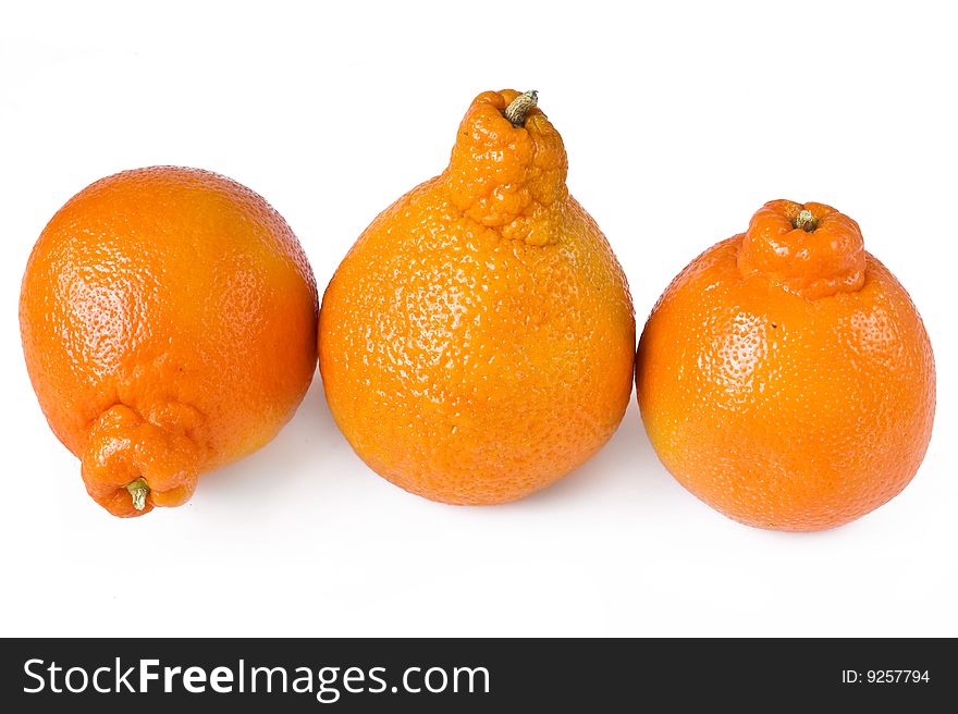 Vegetarian  background with   group of ripe  isolated orange