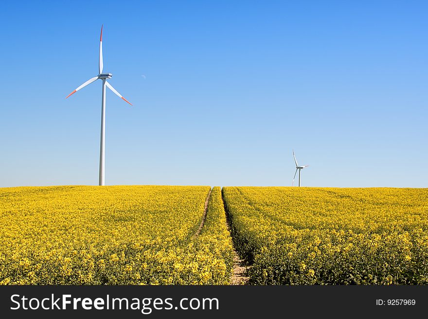 Wind Turbines Standing In A Field Of Yellow Rapeseed