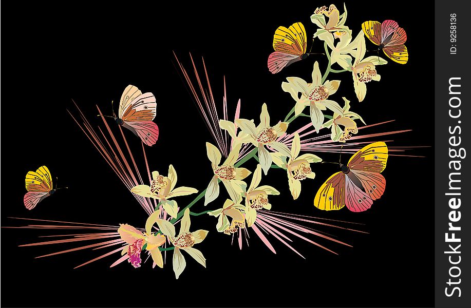 Illustration with butterflies and yellow ochids on black background