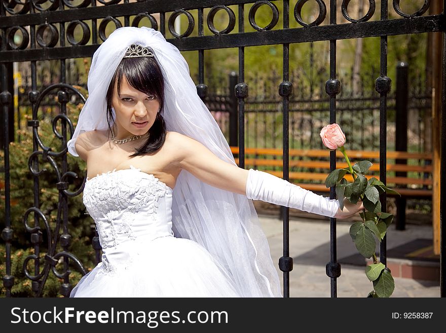 Pretty bride with rose near wall